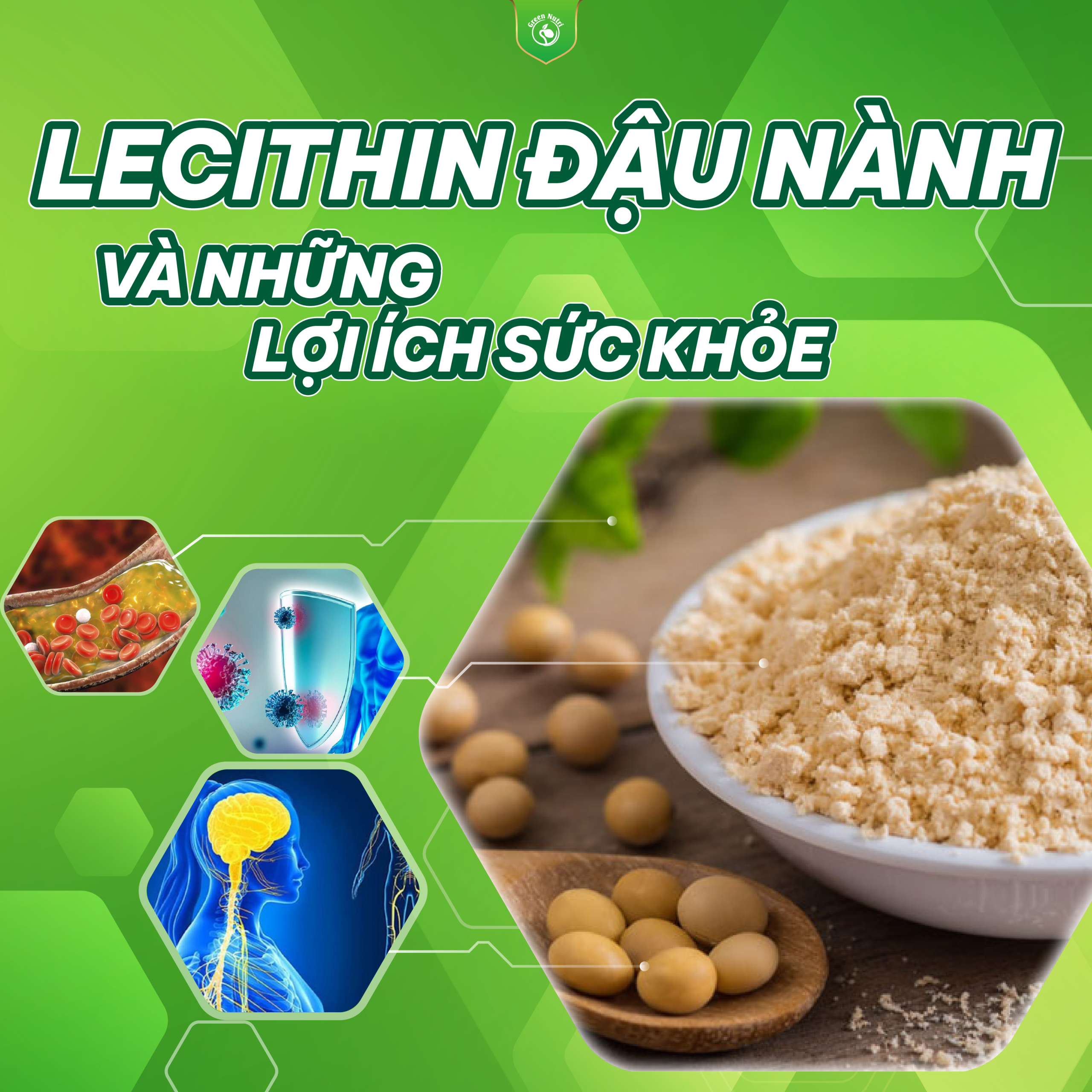 Lecithin đậu nành và những lợi ích sức khỏe của lecithin