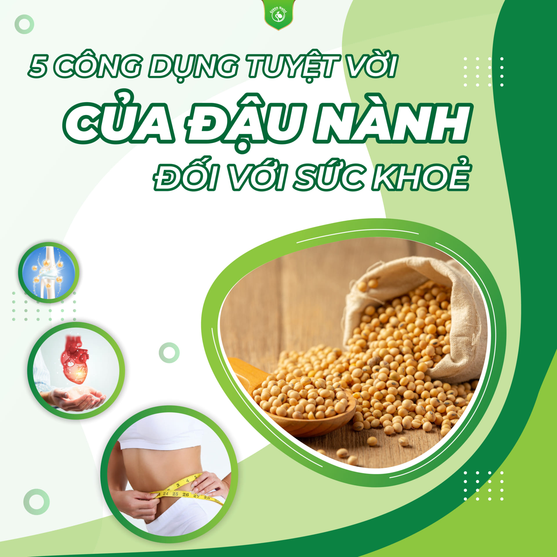 5 Công dụng tuyệt vời của đậu nành với sức khỏe