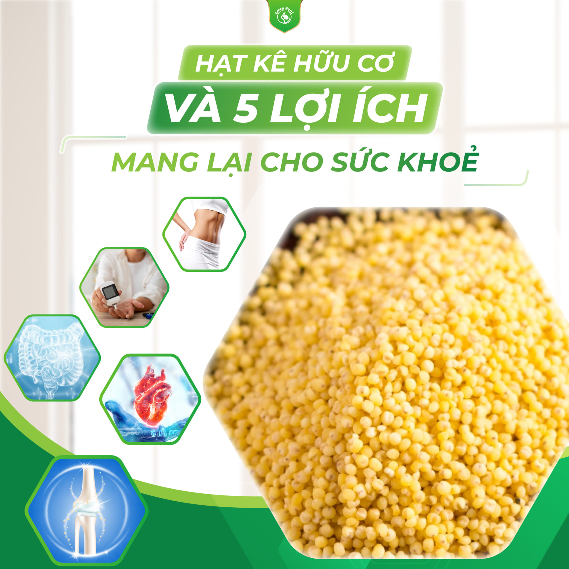 Hạt kê hữu cơ và 5 lợi ích mang lại cho sức khỏe