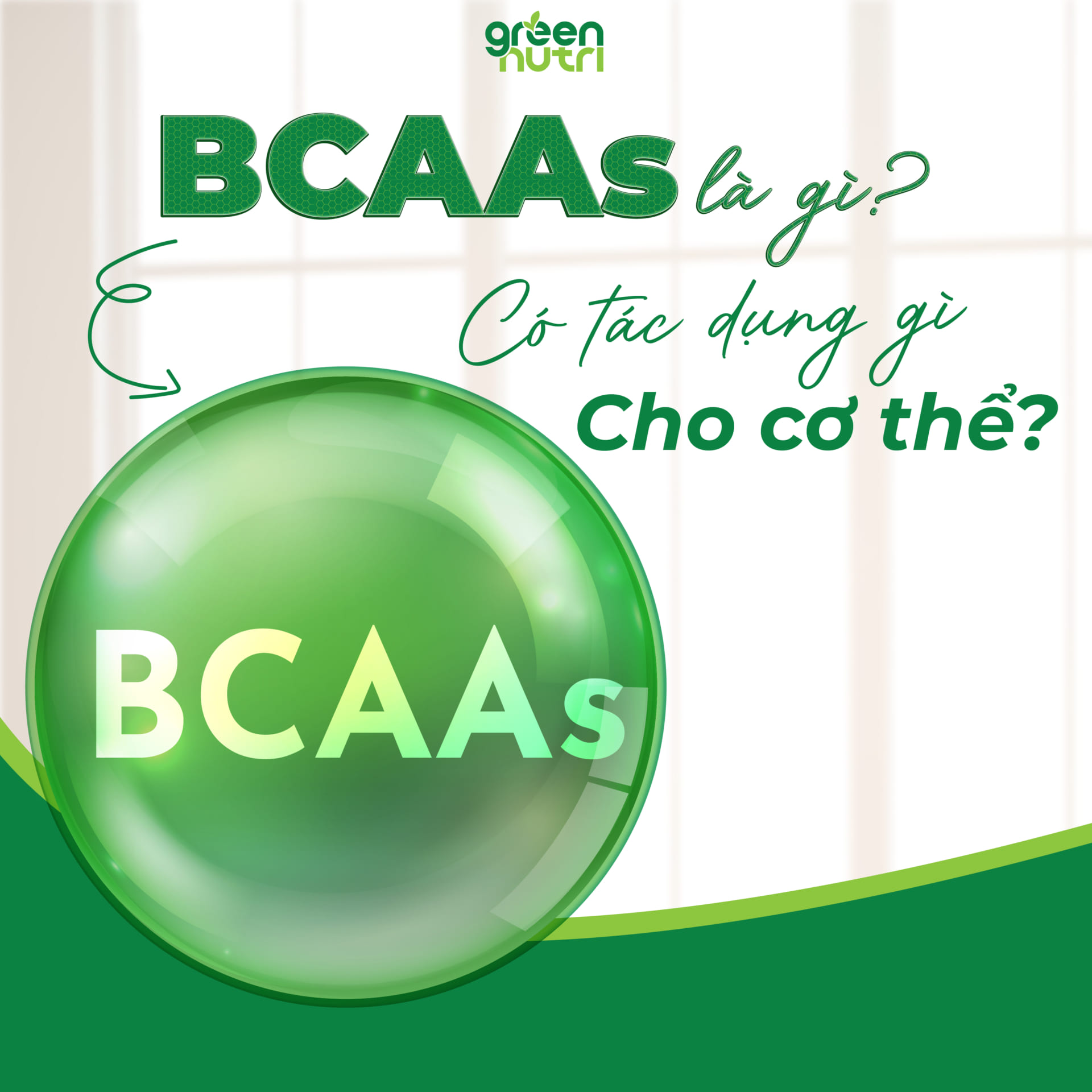 BCAA là gì? BCAA có tác dụng gì cho cơ thể
