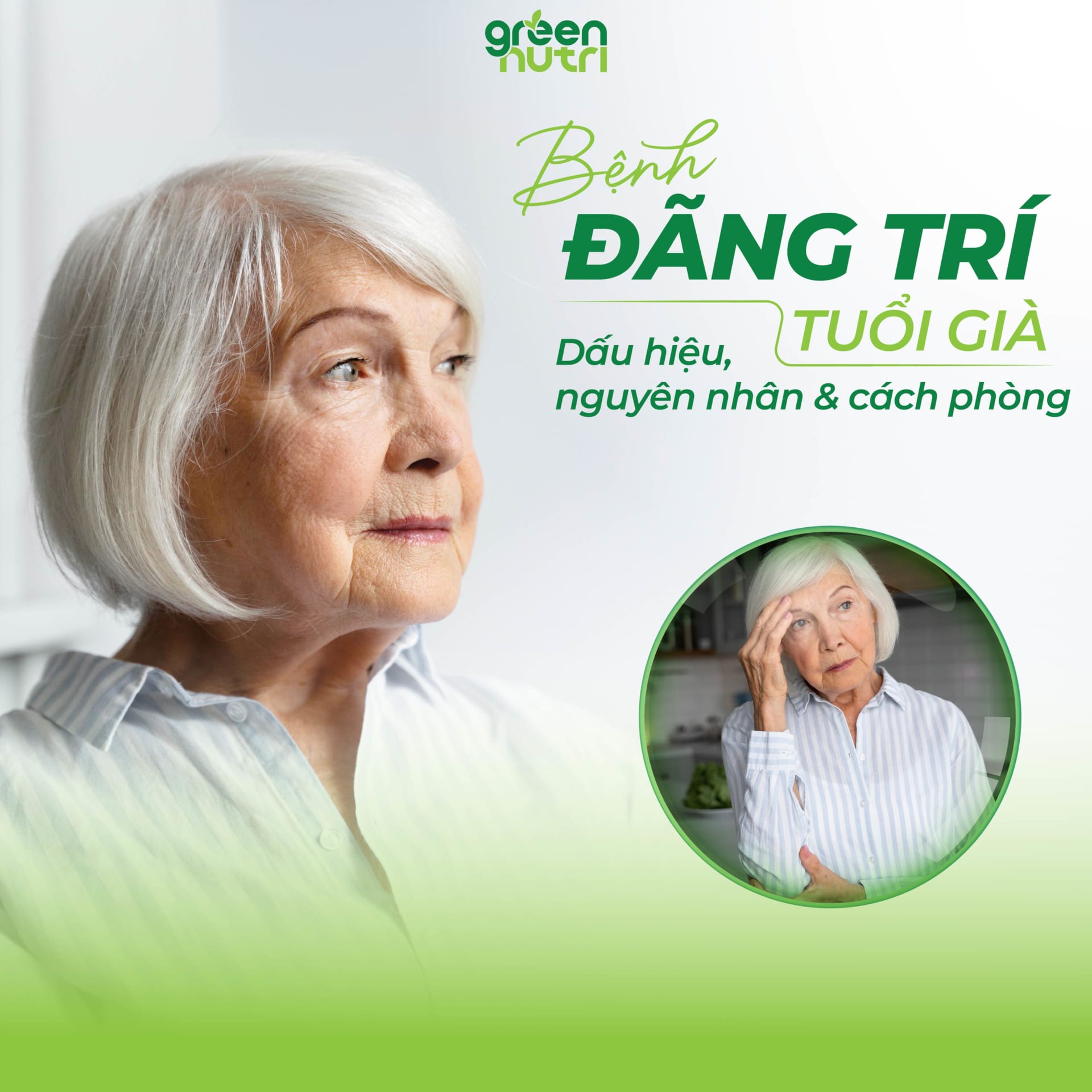 Bệnh đãng trí tuổi già: dấu hiệu, nguyên nhân và cách phòng bệnh