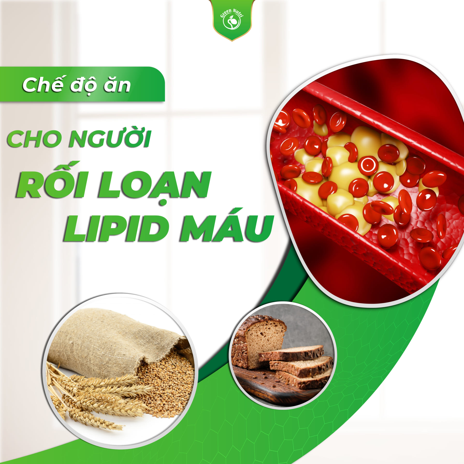 Rối loạn lipid máu nên ăn gì, tránh gì?