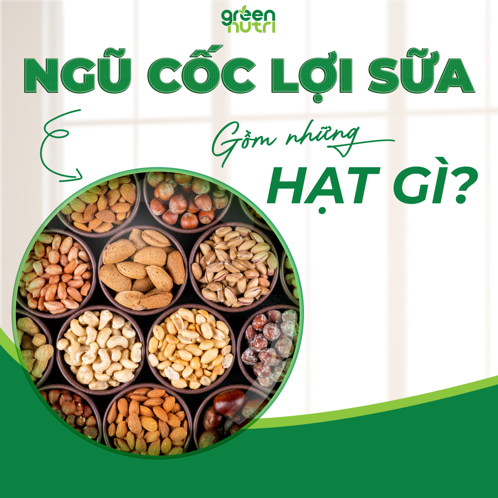 Ngũ cốc lợi sữa gồm những hạt gì?
