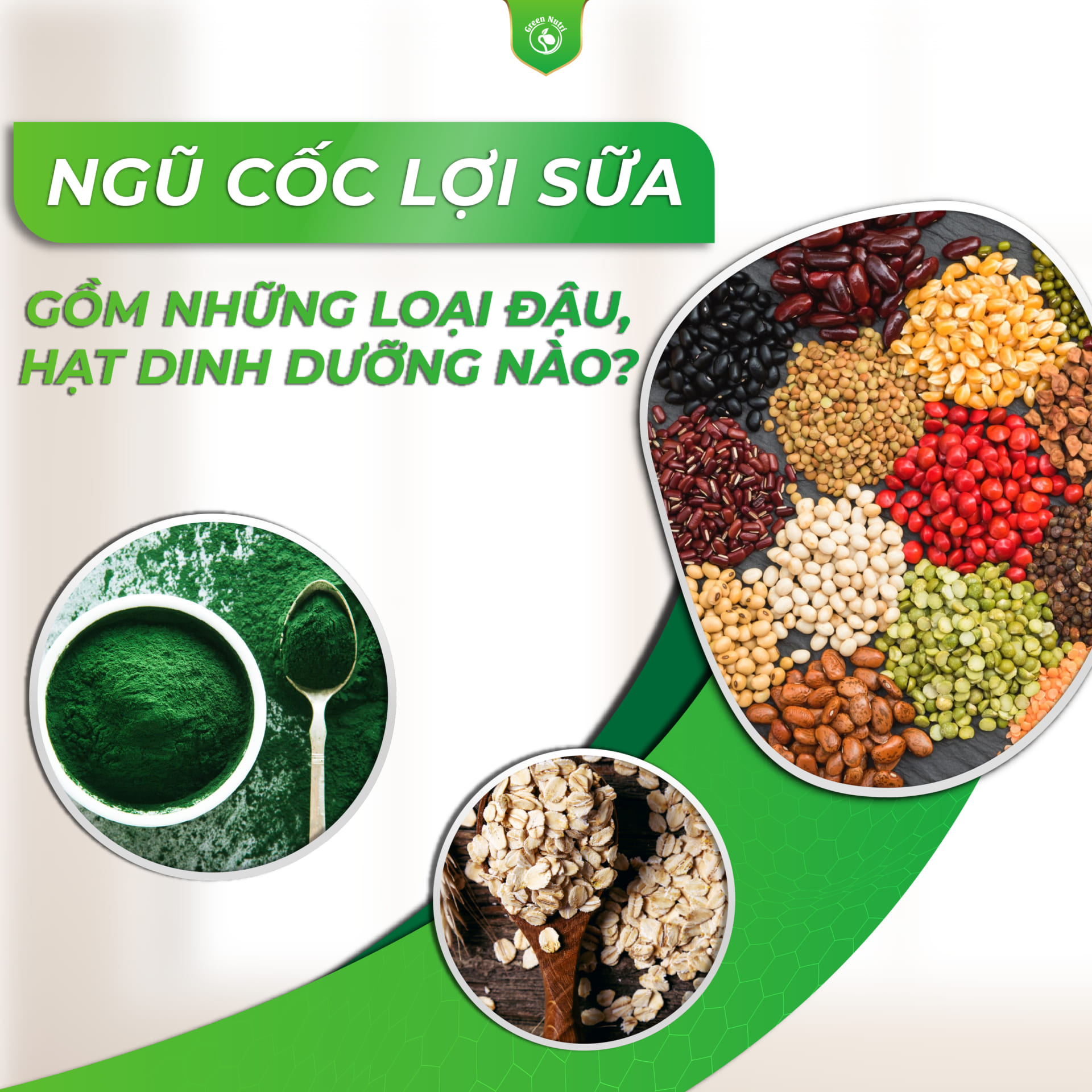 6+ Loại ngũ cốc mẹ bầu nên ăn để lợi sữa